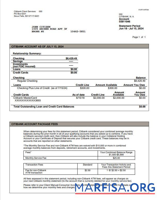 Printable USA Citibank statement word version 3 template